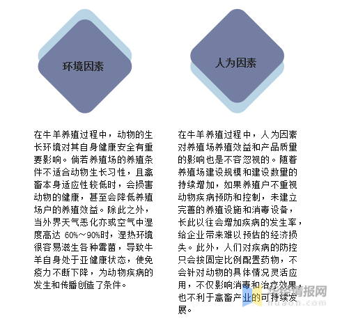 兰州布鲁氏菌病最新防控措施