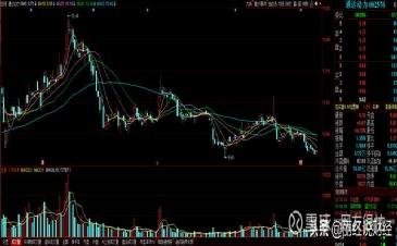 通达股份最新动态：股票公告解析与市场洞察