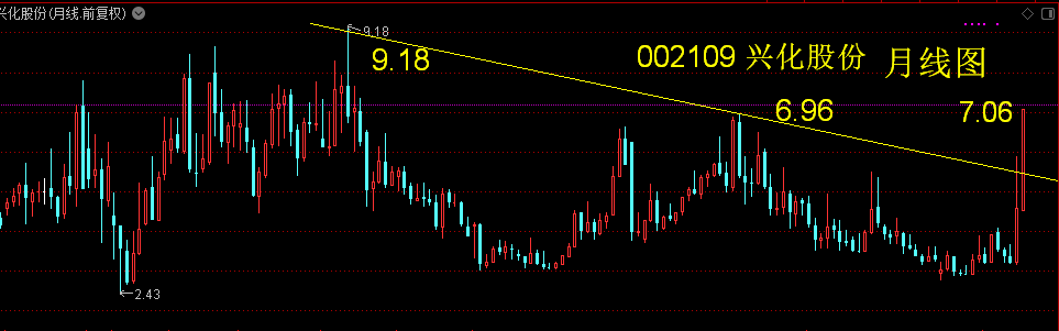 最新速递：ST兴化公司动态解析